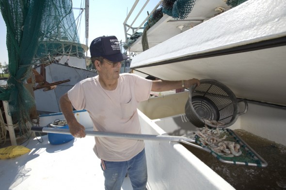 LaSEA_Seafood_05_10_1151m